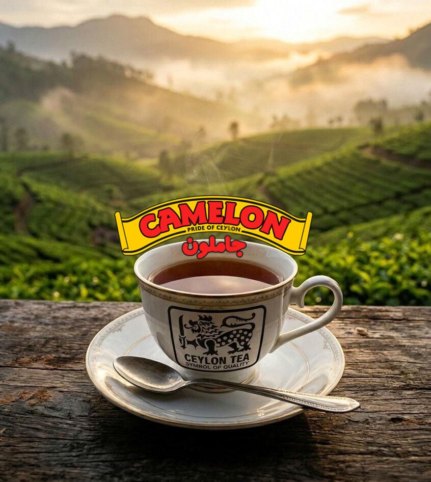 Seylan Çayının Tarihi | Sri Lanka’nın Köklü Çay Kültürü