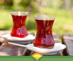 CAMELON 500 GR ALMANİ TEA ÇAYI