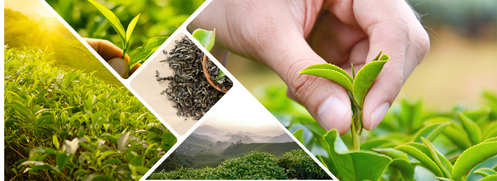 Çayın en doğal hali...